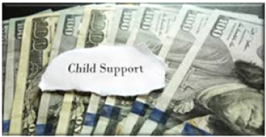 Chlid-Support-377 Education Template Not live